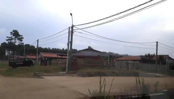 Coovilapa - La Paloma