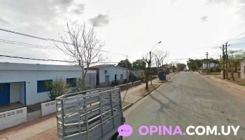 Coquetos Peluquería Canina - 33000 Treinta Y Tres