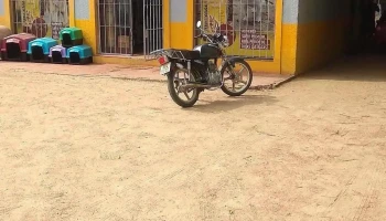 Costa Mascotas - Salinas