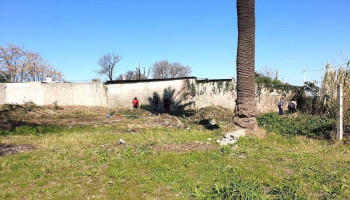 Covifan7 - Montevideo