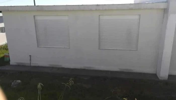 Covitrasy Pvs - Young Covitrasy Pvs - Young