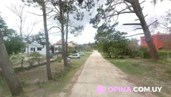 Crepalitos - Neptunia Crepalitos - Neptunia