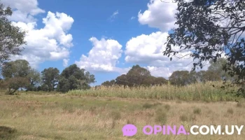 Crew Bienes Raices - Gral. Líber Seregni Crew Bienes Raices - Gral. Líber Seregni