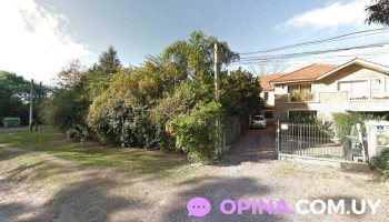 Cristina Ottonello - Montevideo