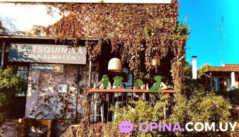 Croissants Pastry - Col. Del Sacramento