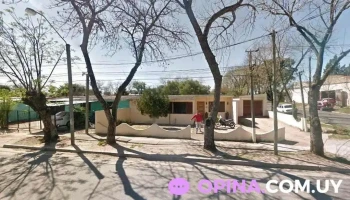 Cruz Roja de Flores - Trinidad Cruz Roja de Flores - Trinidad