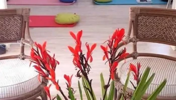 Cursos Mindfulness en Paysandú - Paysandú