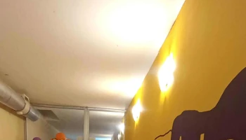 Danza Arte - Montevideo