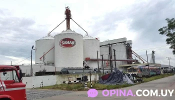 Depósitos Brou - Cívicos