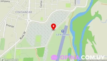 Desarmadero el Rubio - Cam. A La Alameda