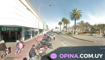 Di Lusso Sports - 20000 Maldonado