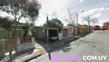 Diagnostico Equino - Castillos Diagnostico Equino - Castillos