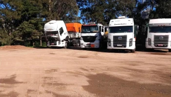 Disa - 30300 José Pedro Varela