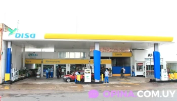 Disa - 75200 Cardona