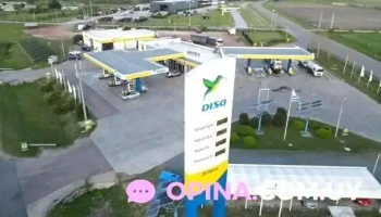 Disa Dolores - Chacras De Dolores Disa Dolores - Chacras De Dolores