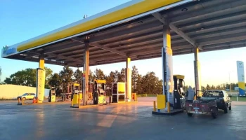 Disa Sauce - Sauce Disa Sauce - Sauce