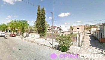 diseño y programacion web - Cardona