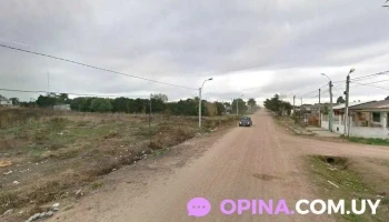 Disfru-te - C. Constitucion