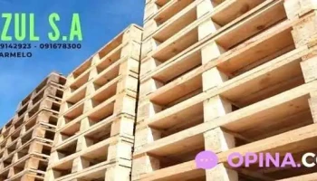 Distizul S.a (Picedapallets) - 70100 Carmelo