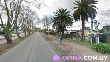 Distribuidora Fenix - 13000 Montevideo