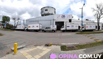 Distribuidora La Liceal - 27000 Rocha