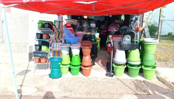 Distribuidora la milagrosa - 50000 Salto