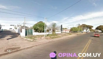 Distribuidora Mandi - 50000 Salto