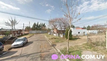 Distribuidora productos congelados (san Carlos) - 20400 San Carlos