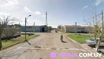 Distribuidora Roma - 45100 Paso De Los Toros