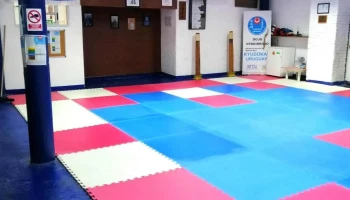 Dojo Verdirrojo kyudokan Uruguay - Montevideo