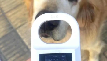 Dra Daniela Monfort, Veterinaria - 15000 Ciudad De La Costa