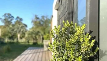 Dra Gissela Rodríguez - Castillos