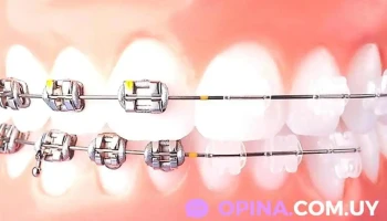 Dra. Mariajosé Fajardo Rossi - Montevideo