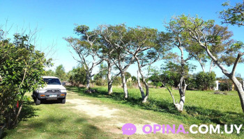 Driver Cars, Escuela De Choferes La Paloma - La Paloma
