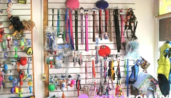 Dulces Huellas - 27000 Rocha