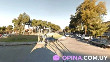 Ecografía William Martinez - Montevideo