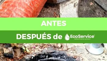EcoService - Mantenimiento sanitario - Uruguay EcoService - Mantenimiento sanitario - Uruguay