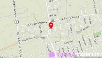 El Caballito - 60100 Guichón