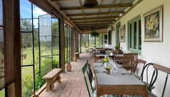 El ceibo blanco - Maldonado El ceibo blanco - Maldonado