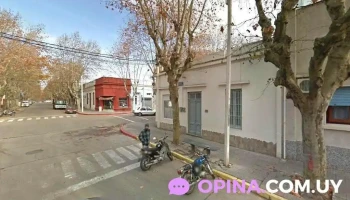 El Inglés de Erna - Durazno