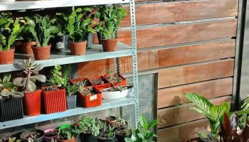 El jardín de Gaby - 11400 Montevideo El jardín de Gaby - 11400 Montevideo