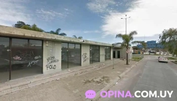 El Matungo - Ramón Tabárez El Matungo - Ramón Tabárez