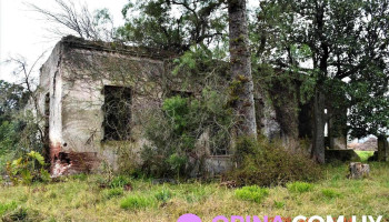 El Molino de Pando - Pando El Molino de Pando - Pando