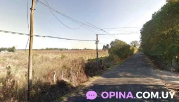 El paraíso - Montevideo