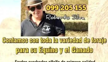 El Rey Del Fardo - Departamento De Canelones