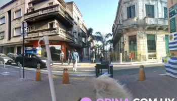 El Rinconcito Banderas y Más - 11900 Montevideo