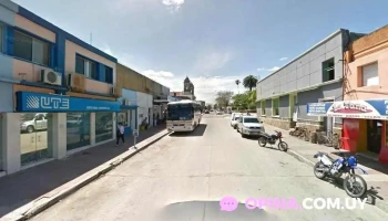 El Viejo Perez - Tala El Viejo Perez - Tala