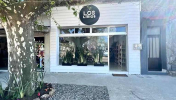 Electro shop San Bautista - San Bautista Electro shop San Bautista - San Bautista