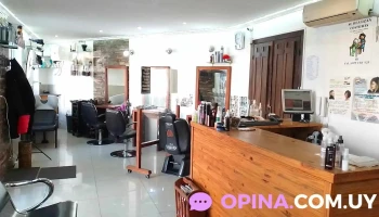 Elgue Miguel peluqueria de autor..estilista en cabello - 11800 Montevideo