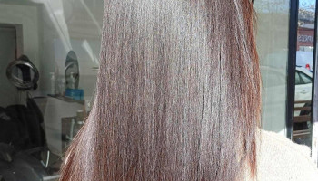 Ellensalon_pdlt - 45000 Paso De Los Toros